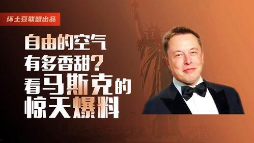 马斯克的惊天爆料视频,揭秘科技巨头背后惊人真相！
