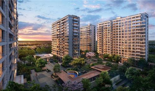 龙德井壹号最新爆料新闻,揭秘神秘项目背后的惊人真相